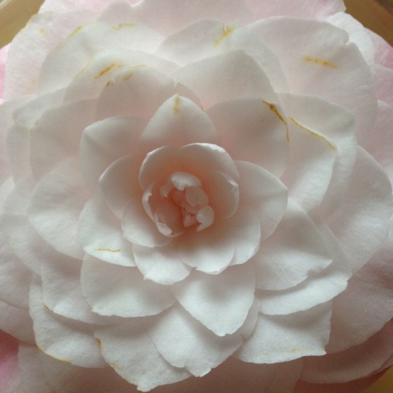 Open and Receive Touchstone